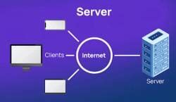 How does the internet work? - Year 3 Computing PDF Download