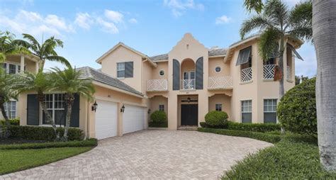 Image result for Tulip Tree CT