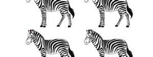 Image result for Zebra Cut Out