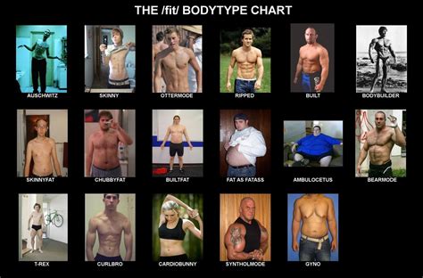 Male Body Type Chart