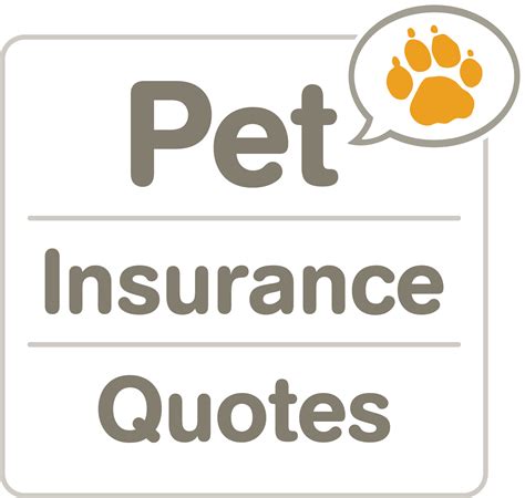 best pet insurance for reptiles