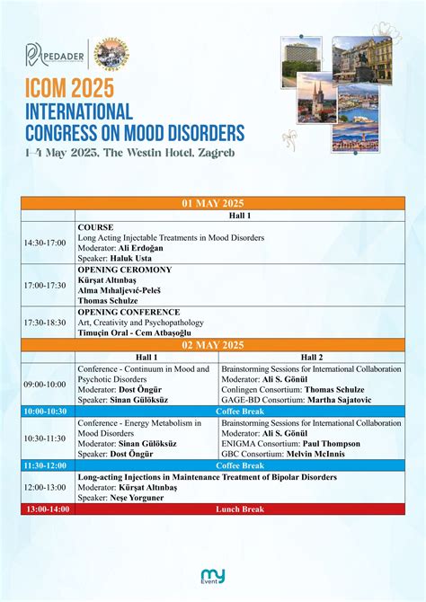 Icom Program 的图像结果