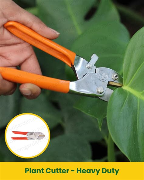 Heavy Duty Plant Cutter – Cuts Stems up to 18mm | MyOwnGarden ...