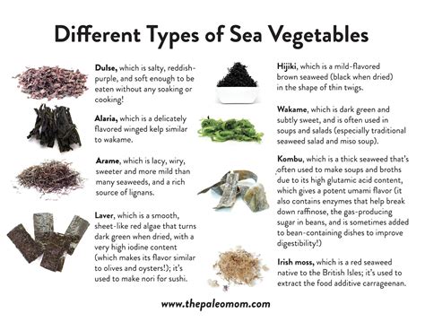 The Health Benefits of Sea Vegetables | Sea vegetables, Edible seaweed, Vegetables