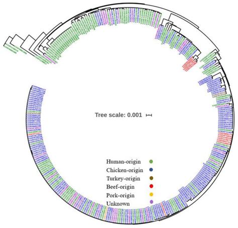 IJMS | Special Issue : Analysing Bacterial Infection, Microbiome ...