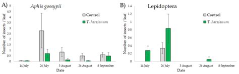 Effects of Below-Ground Microbial Biostimulant Trichoderma harzianum on ...