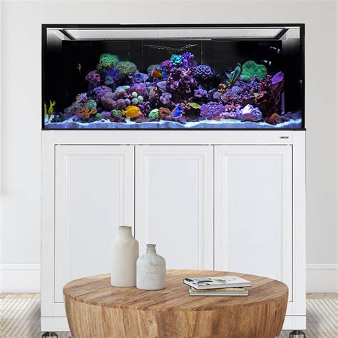 Best 100 gallon aquarium stand Online