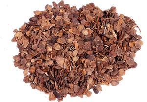 Green India blue jacaranda/ mimosifolia/ black poui/ Ornamental ...