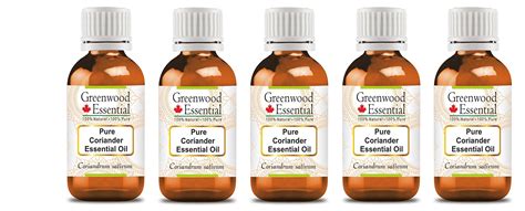 Buy Greenwood Essential Pure Coriander Essential Oil (Coriandrum ...