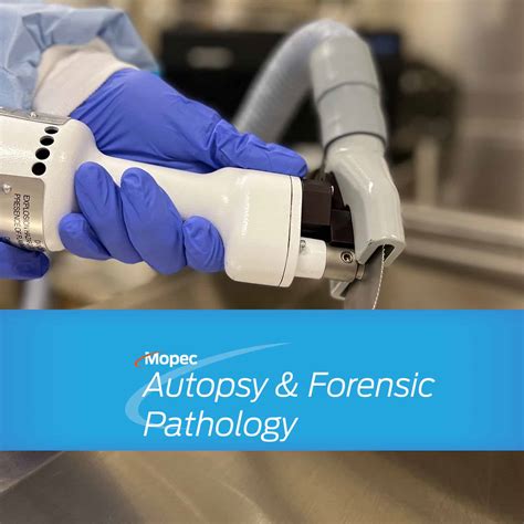 Forensic Autopsies 的图像结果