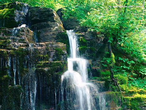 Spring Scenes Desktop 的图像结果