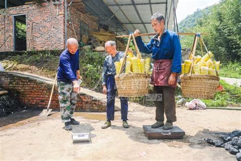 游客采挖竹笋，柳州村民私定“天价”罚款村规！纠纷频发，问题出在哪？