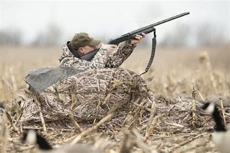 Image result for Final Approach Express Layout Blind