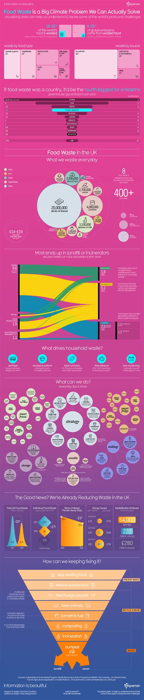 Image result for Food Waste Infographic