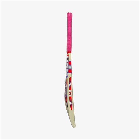 BDM Booster English Willow Cricket Bat – Romjee Sports Llp