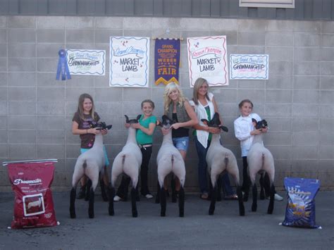 Brandon and Jennifer: Weber County Fair 2010