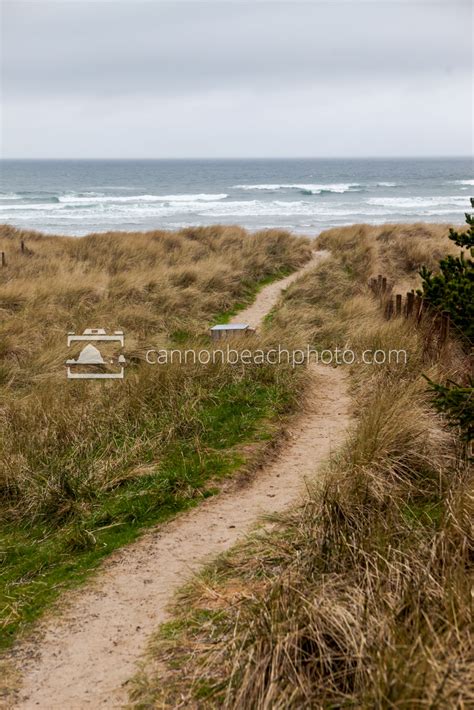 Beach Path, Chapman Point - Cannon Beach Photo