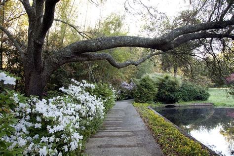 Bellingrath Gardens and Home, alabama, United States Of America - Top ...
