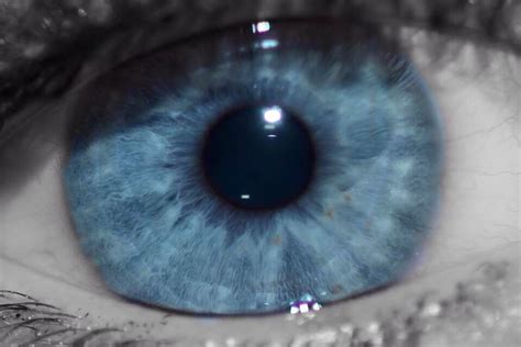 Image result for Random Snaps.com