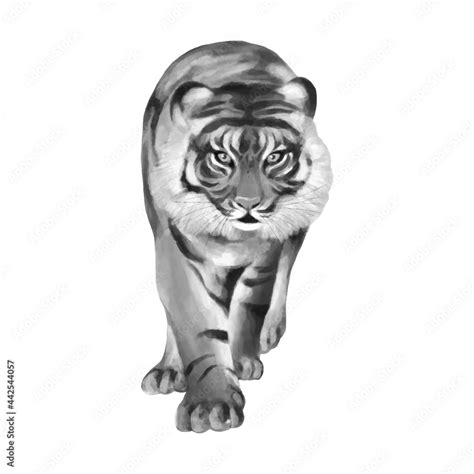 Image result for Custom CSS File