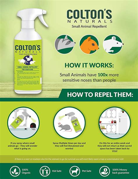 All Natural Rodent Repellent Spray- Perfect for: Racoons Rats Squirrels ...