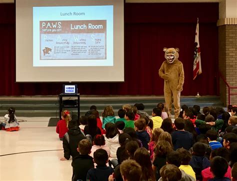 Image result for PBIS Problem Solving Cards