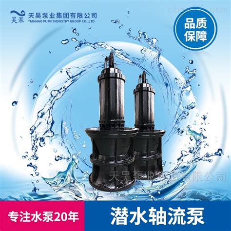 QZB/QZ 揭阳防汛泵站用900QZB潜水轴流泵移动式安装-化工仪器网