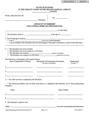 Download Form - Illinois Second Judicial Circuit Court - Fill and Sign ...