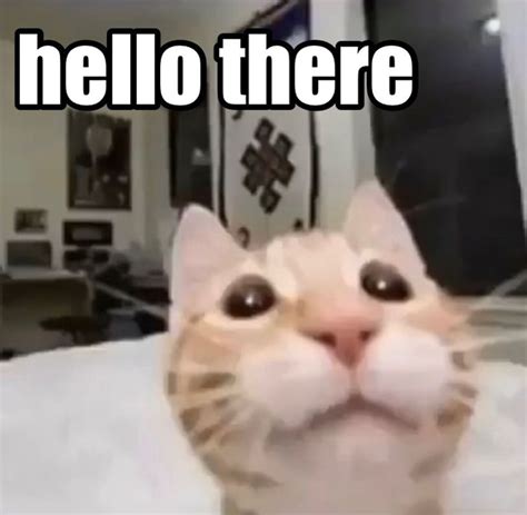 Image result for Hello Meme