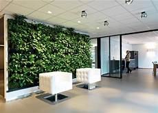Office Green Walls by Green Walls Living Walls Office Landscapes Office Green Walls