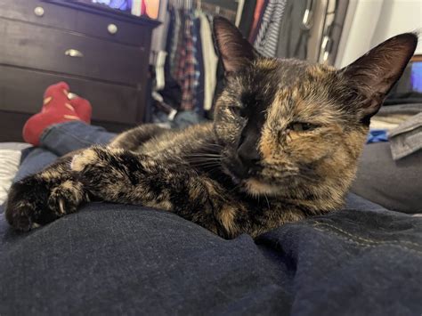 MSPCA AT NEVINS FARM - Methuen MA - Hours, Directions, Reviews - Loc8NearMe