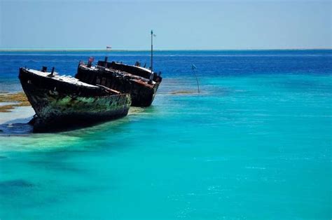 Scuba Diving In Queensland 2026: 12 Spots To Discover The Ocean