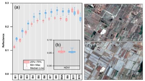 Monitoring Oasis Cotton Fields Expansion in Arid Zones Using the Google ...