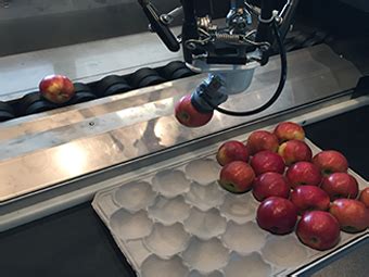 Image result for Greefa Combisort Packing Line Tech Drawing