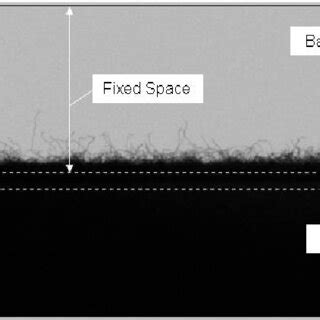 Image result for Dataset Example