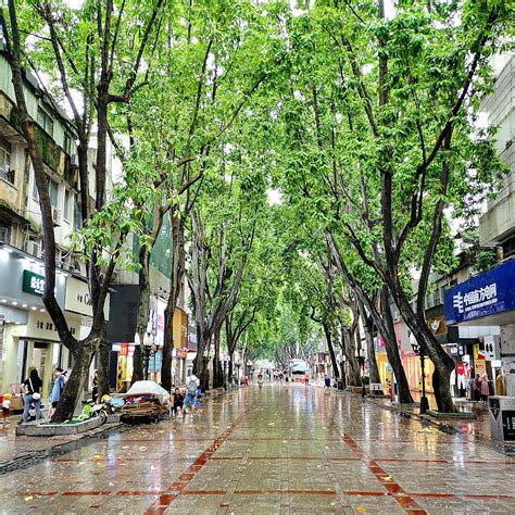惠州商业步行街景色高清图片下载_红动中国