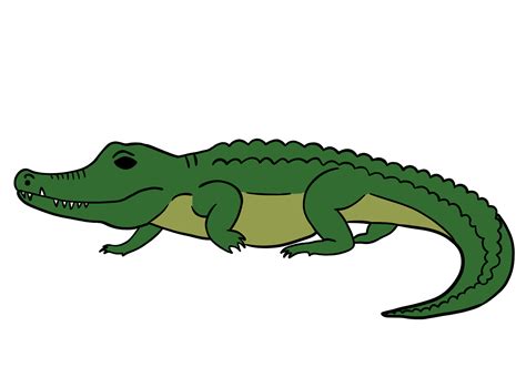 Simple Crocodile Drawing