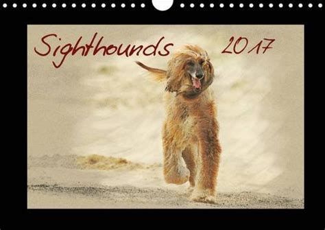 Buy Sighthounds 2017 2017: Sighthounds - The Calendar is Designed in ...