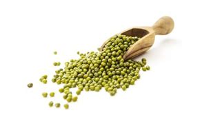 Pulses Indenting Agents in India | Pulses Exporters