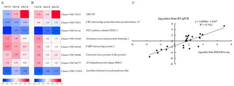 Differentially Expressed Genes Identification of Kohlrabi Seedlings ...