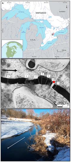 Rivers under Ice: Evaluating Simulated Morphodynamics through a Riffle ...