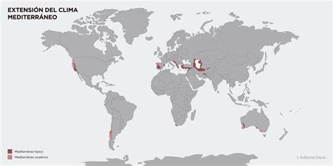 Mediterranean Climate | Meaning & Concept [Explained]