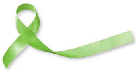 Spinal Cord Injury Awareness Day 2023: Date, History and Facts