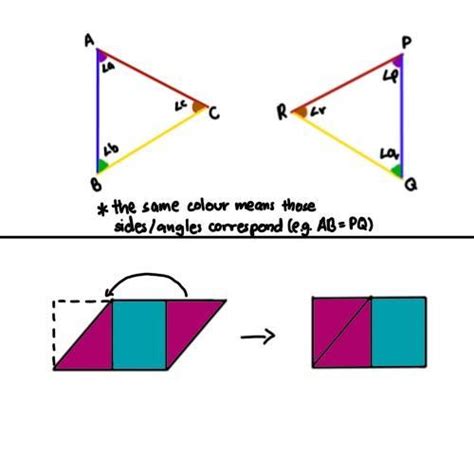 answer with explanation of the answer - Brainly.in