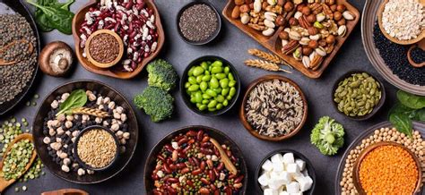 Is Plant-Based Protein the Key to a Healthier Lifestyle? – Healthy ...