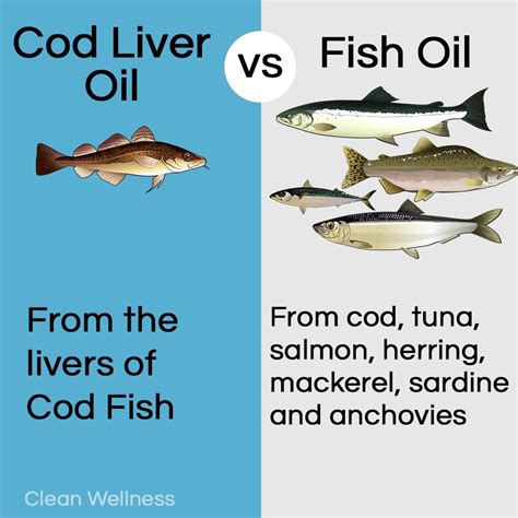 Cod Liver vs Fish-Oil 的图像结果