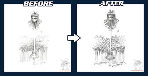 Image result for Vectorization