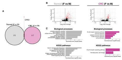 The Importance of Sex in the Discovery of Colorectal Cancer Prognostic ...