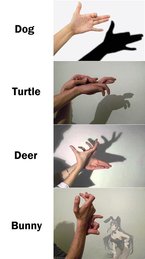Shadow Puppet 的图像结果
