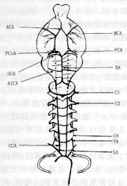 Image result for Alien Science Diagram